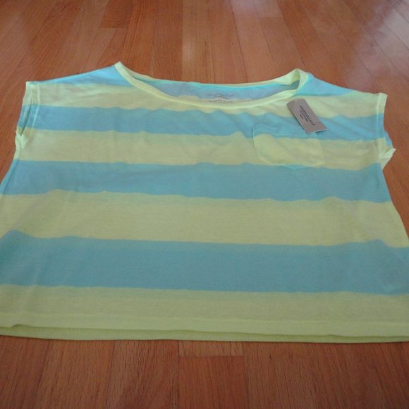 American Eagle Feather Light green/blue stripe tee - Picture 7 of 8